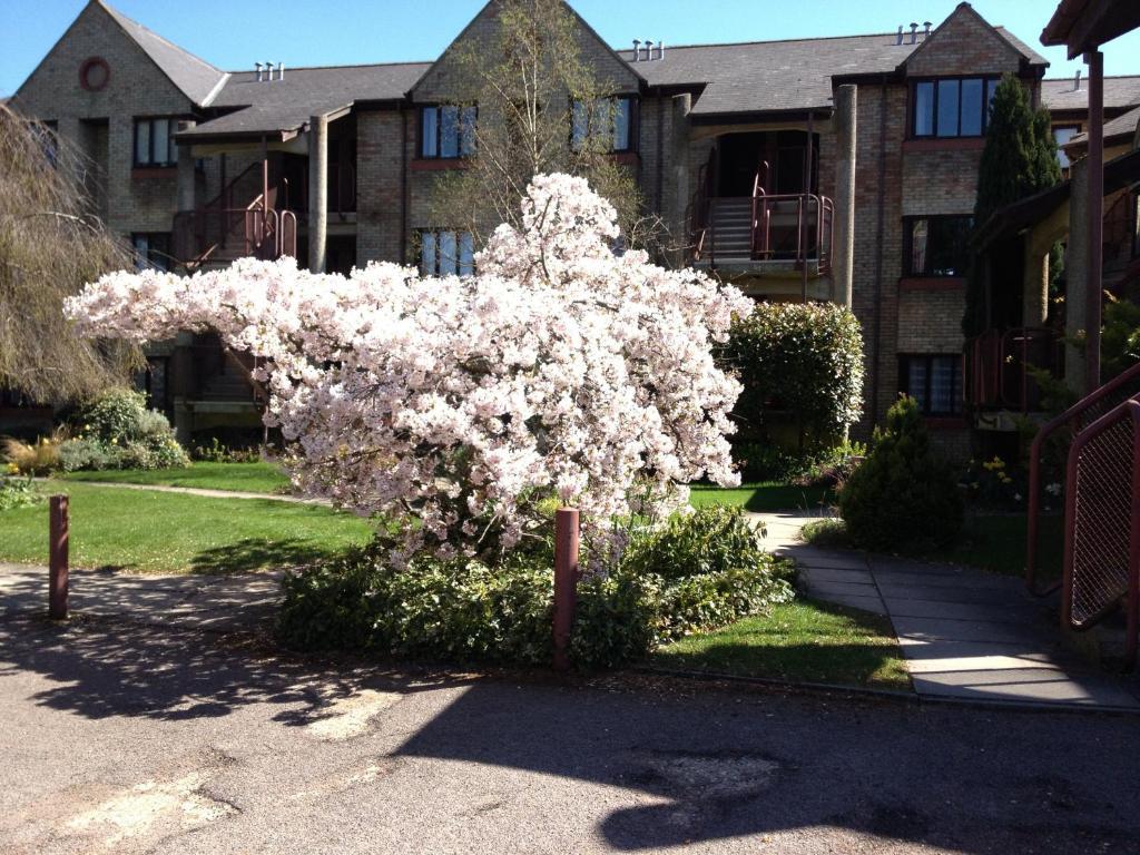 Apartament Chamberlin Court Cambridge Zewnętrze zdjęcie